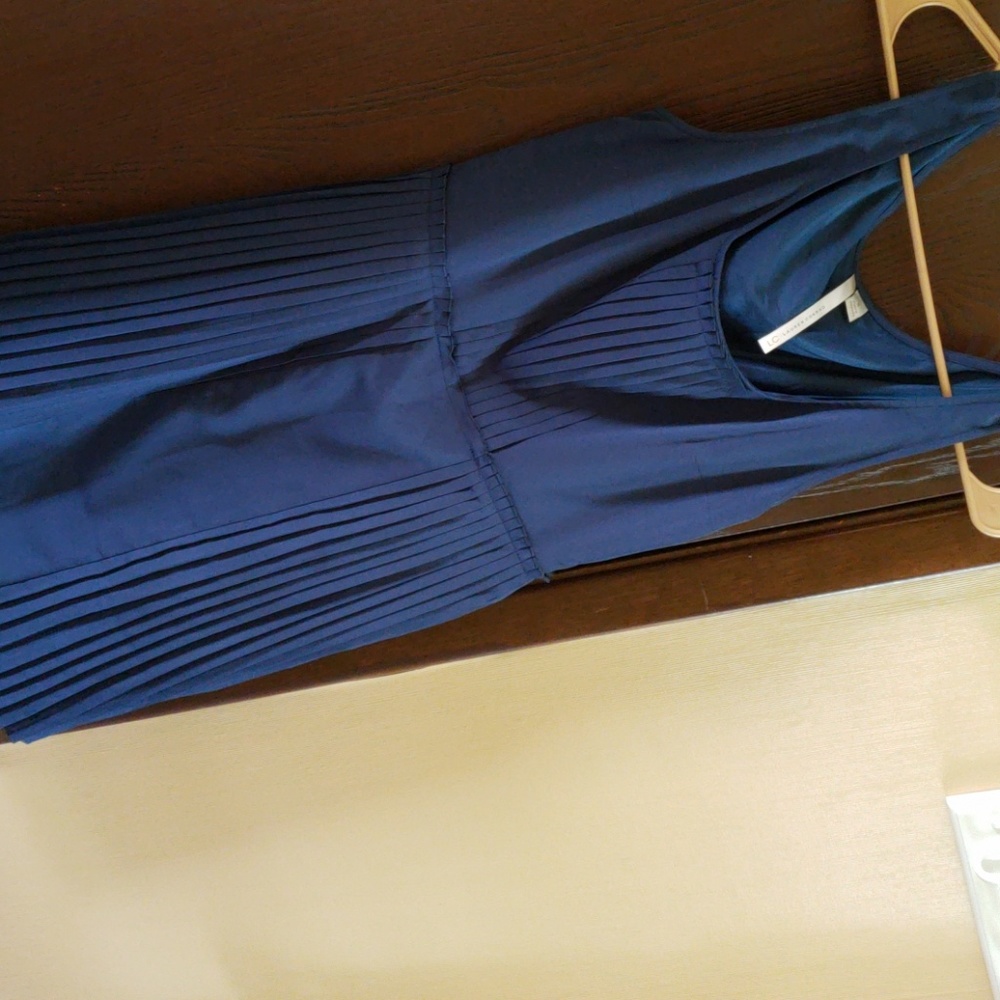 LC Lauren Conrad pleated dress
